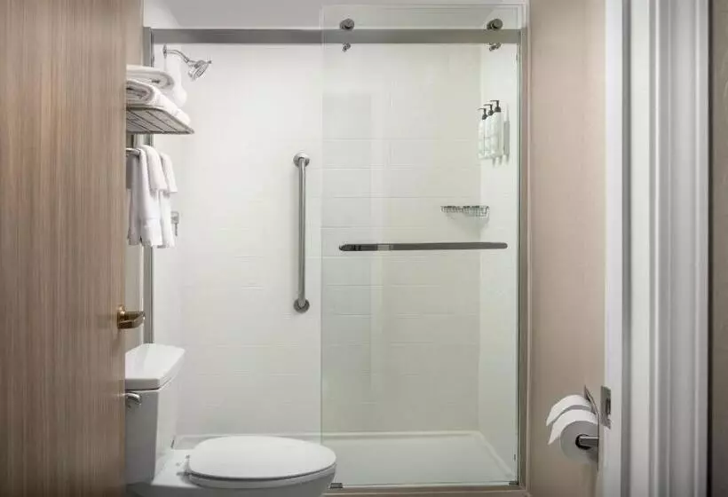 キングサイズベッドのスタンダードルーム, Springhill Suites By Marriott Atlanta Buford/mall Of Georgia