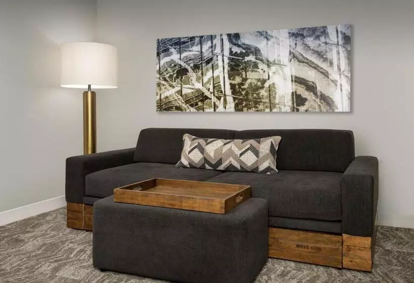 キングサイズベッドのスタンダードルーム, Springhill Suites By Marriott Atlanta Buford/mall Of Georgia