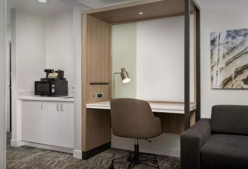 キングサイズベッドのスタンダードルーム, Springhill Suites By Marriott Atlanta Buford/mall Of Georgia