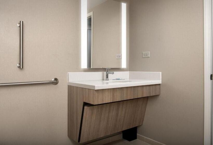 جناح لذوى الاحتياجات الخاصة, Springhill Suites By Marriott Atlanta Buford/mall Of Georgia