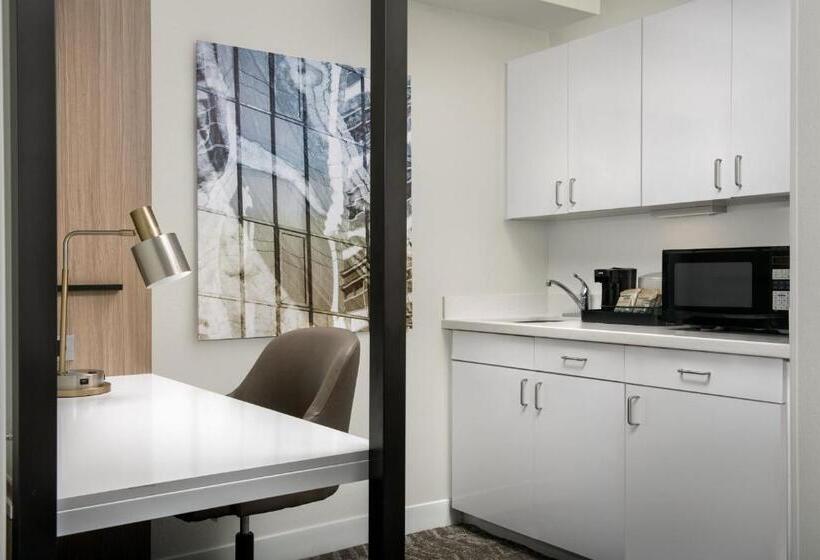 جناح لذوى الاحتياجات الخاصة, Springhill Suites By Marriott Atlanta Buford/mall Of Georgia