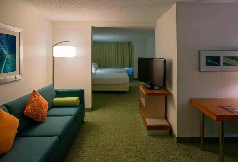スタンダードスタジオ, Springhill Suites By Marriott Chicago Bolingbrook