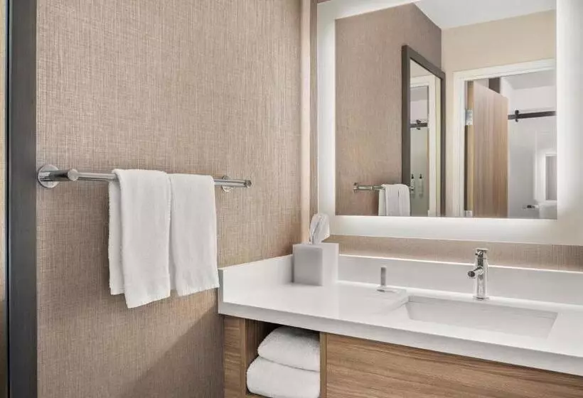 スタンダードスタジオ, Springhill Suites By Marriott Chicago Bolingbrook
