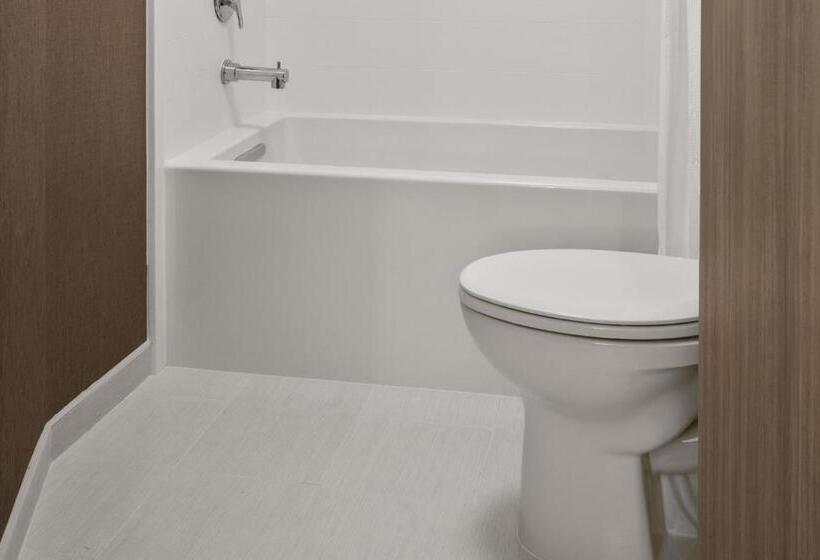 إستوديو قياسى سرير كينج, Springhill Suites By Marriott Chicago Bolingbrook