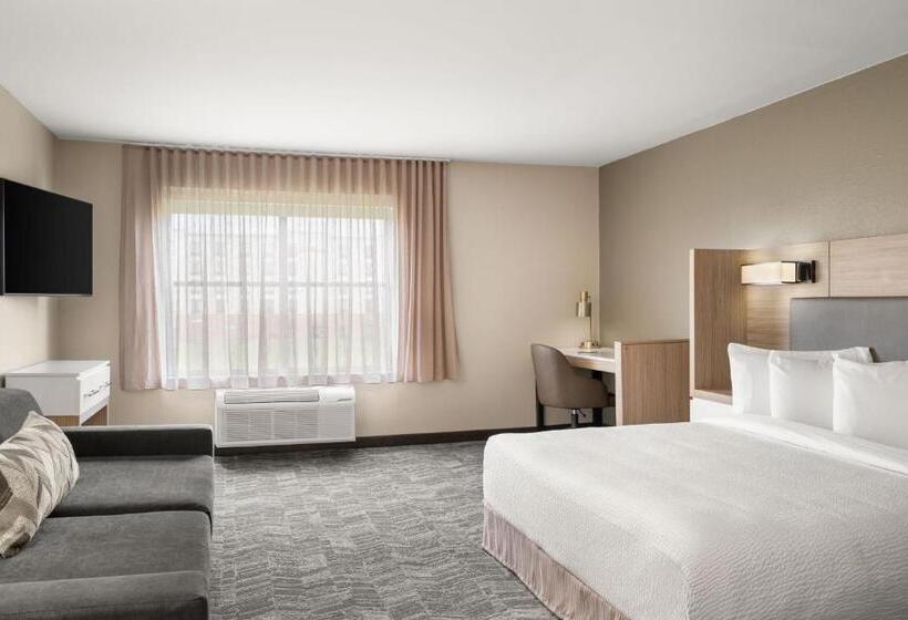 إستوديو قياسى سرير كينج, Springhill Suites By Marriott Chicago Bolingbrook
