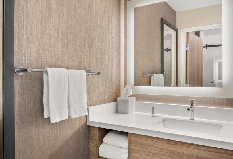 キングサイドベッドのスタンダードワンルーム, Springhill Suites By Marriott Chicago Bolingbrook