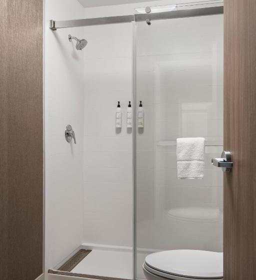 إستوديو قياسى سرير كينج, Springhill Suites By Marriott Chicago Bolingbrook