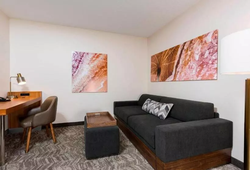 スイート, Springhill Suites Grand Rapids North