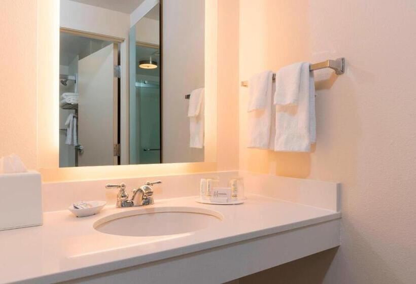 带大床的套房, Springhill Suites Grand Rapids North