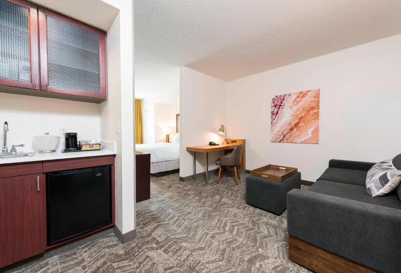 Люкс Кровать Кинг, Springhill Suites Grand Rapids North