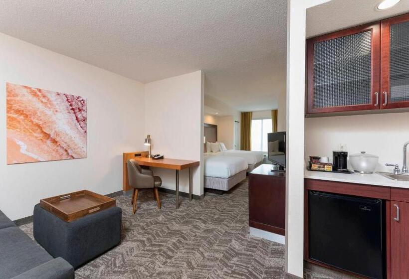 适合残疾人士使用的套间, Springhill Suites Grand Rapids North