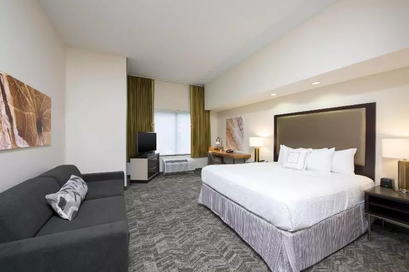 キングサイズベッドのスイートルーム, Springhill Suites Grand Rapids North