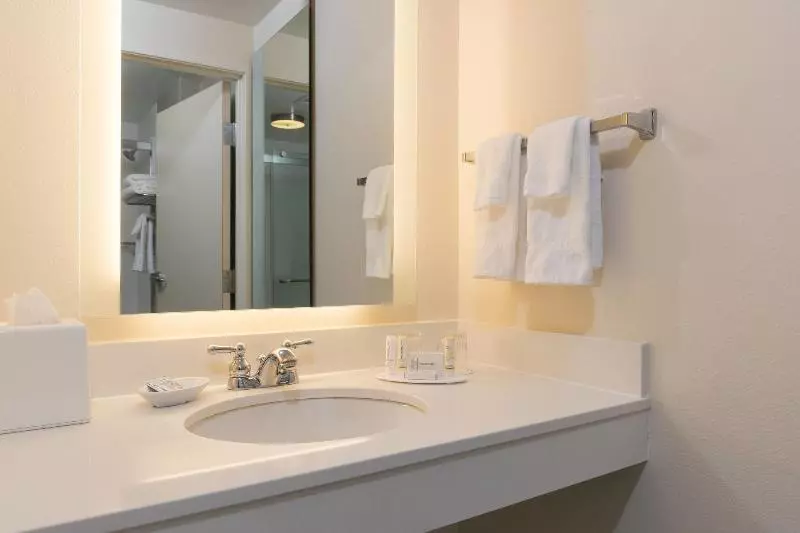 キングサイズベッドのスイートルーム, Springhill Suites Grand Rapids North