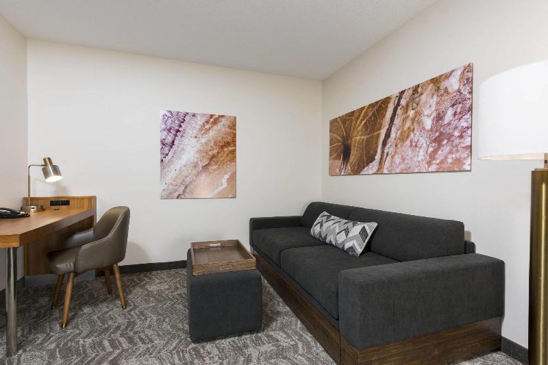 Люкс Кровать Кинг, Springhill Suites Grand Rapids North
