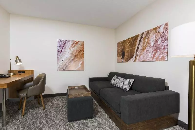 キングサイズベッドのスイートルーム, Springhill Suites Grand Rapids North