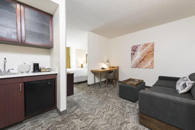 带大床的套房, Springhill Suites Grand Rapids North
