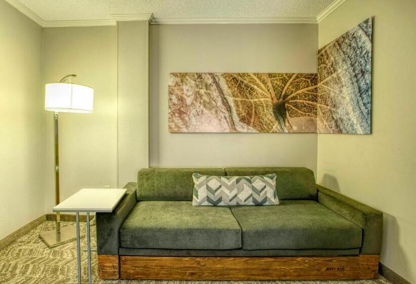 جناح سرير كينج, Springhill Suites By Marriott Lawrence Downtown