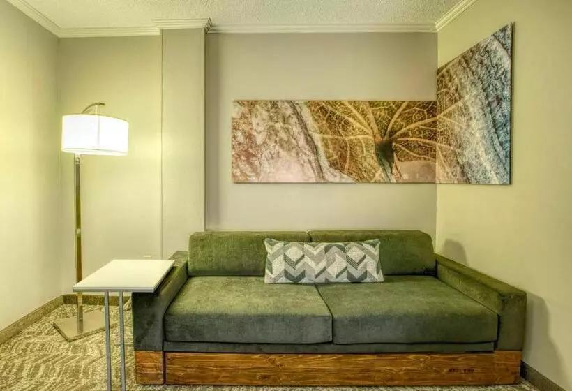 キングサイズベッドのスイートルーム, Springhill Suites By Marriott Lawrence Downtown