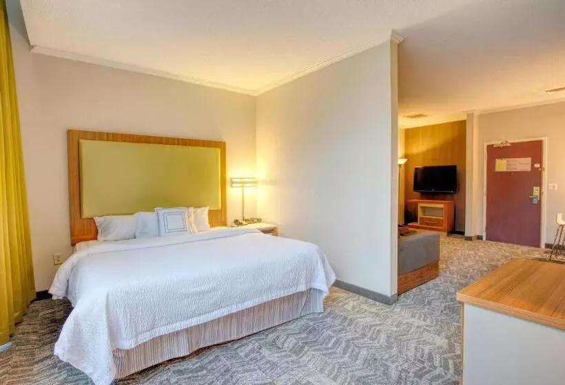 キングサイズベッドのスイートルーム, Springhill Suites By Marriott Lawrence Downtown