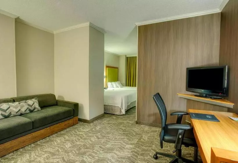 キングサイズベッドのスイートルーム, Springhill Suites By Marriott Lawrence Downtown