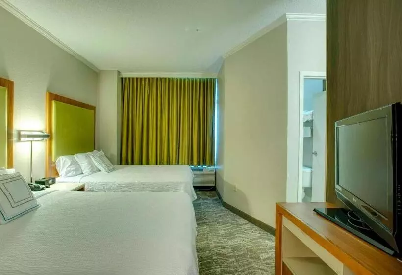 スイート, Springhill Suites By Marriott Lawrence Downtown