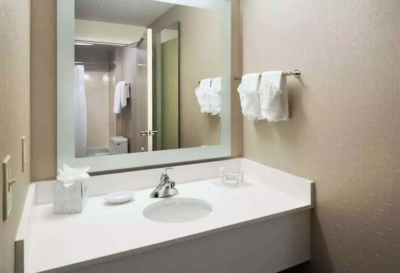 身障者適用スイートルーム, Springhill Suites Milford