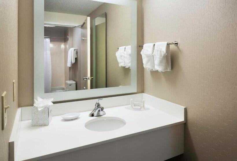 Люкс Кровать Кинг, Springhill Suites Milford