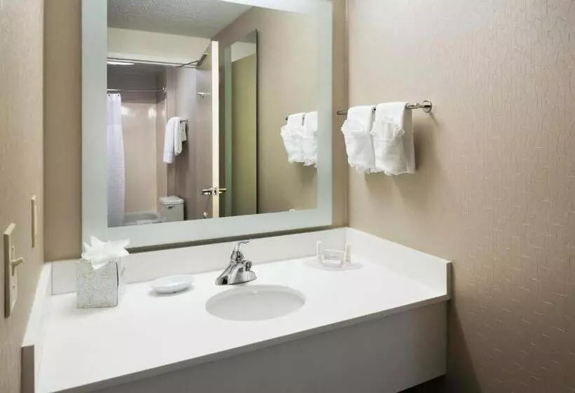 キングサイズベッドのスイートルーム, Springhill Suites Milford