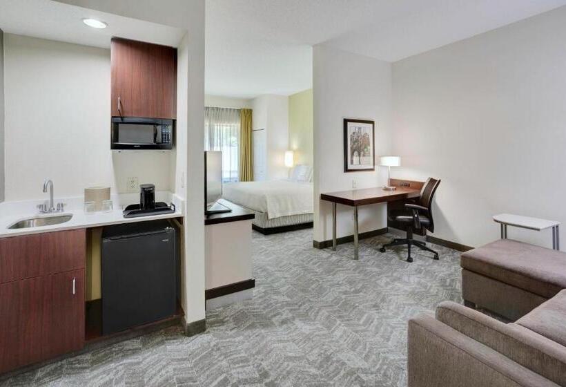 سوئیت با تخت بزرگ, Springhill Suites Milford
