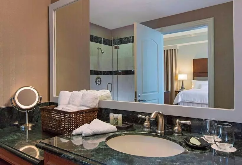 スイート, The Westin Houston Downtown