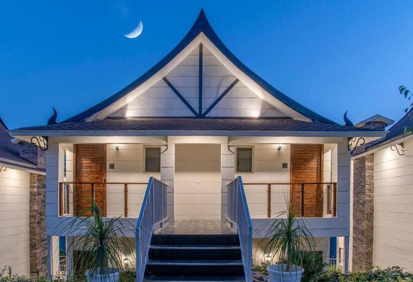 标准间, Chails Hamlet