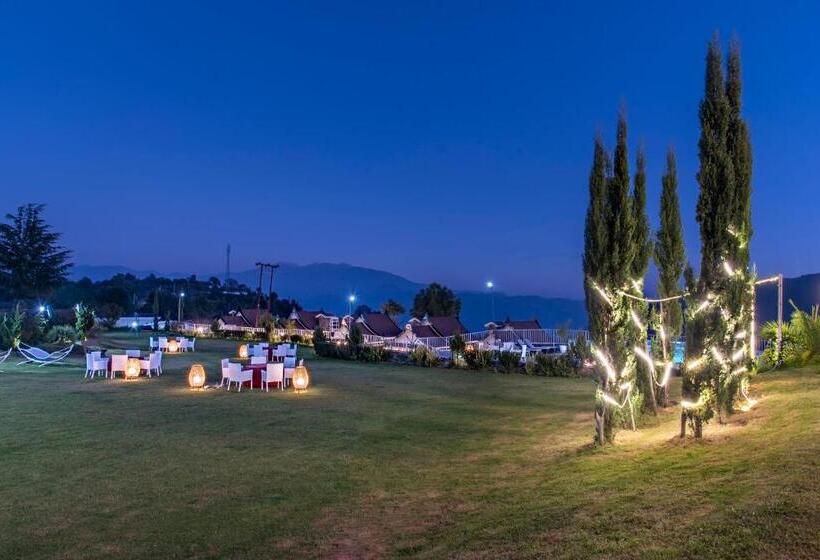 带大床的标准间, Chails Hamlet