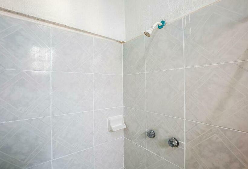 패밀리 룸, Oyo Rey David