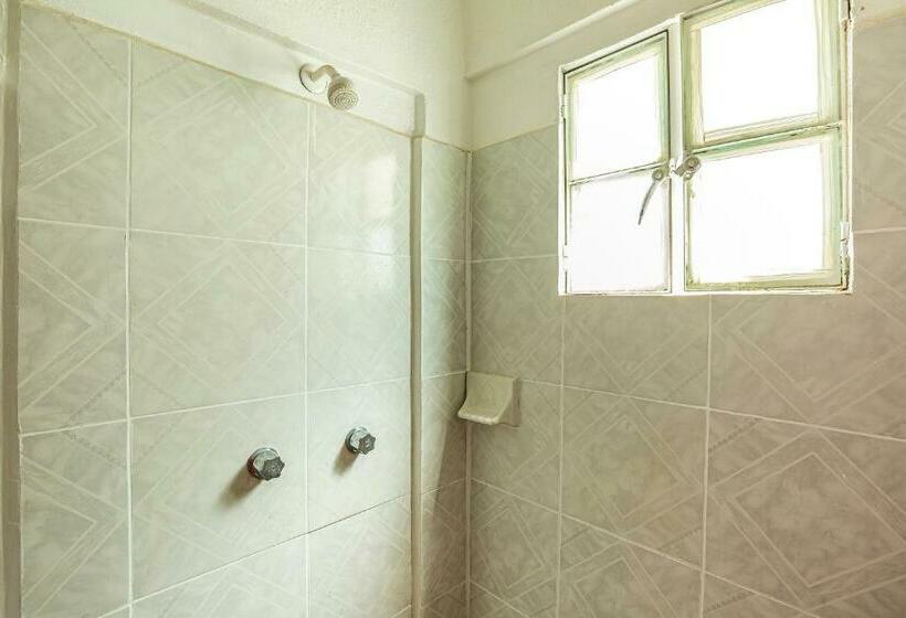 غرفة قياسية ثلاثية, Oyo  Rey David