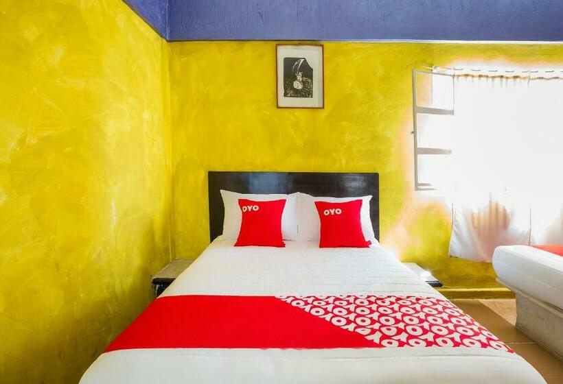 غرفة عائلية, Oyo  Rey David