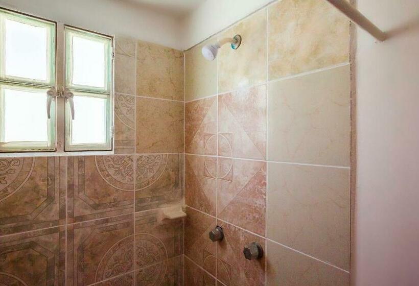 스탠다드 룸, Oyo Rey David