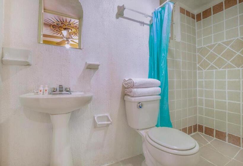 غرفة قياسية, Oyo  Rey David