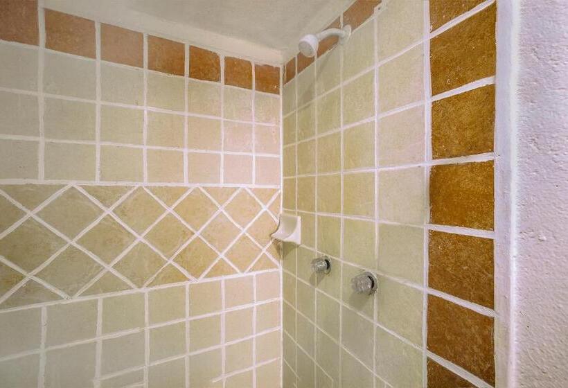 스탠다드 룸, Oyo Rey David