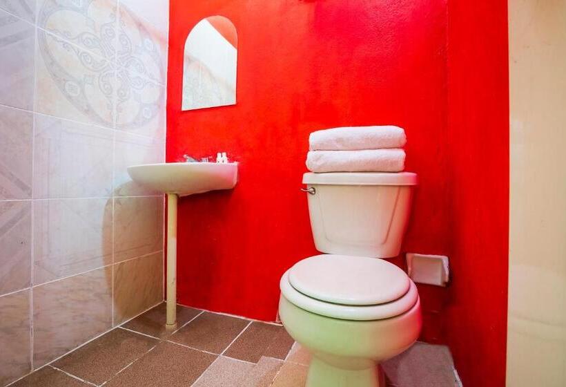 غرفة عائلية, Oyo  Rey David