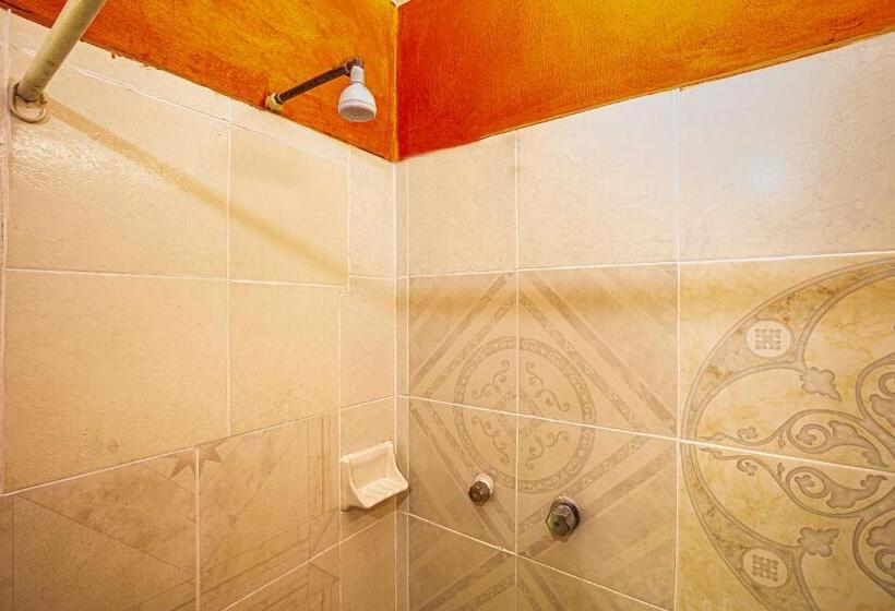 패밀리 룸, Oyo Rey David