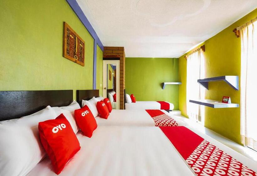 패밀리 룸, Oyo Rey David