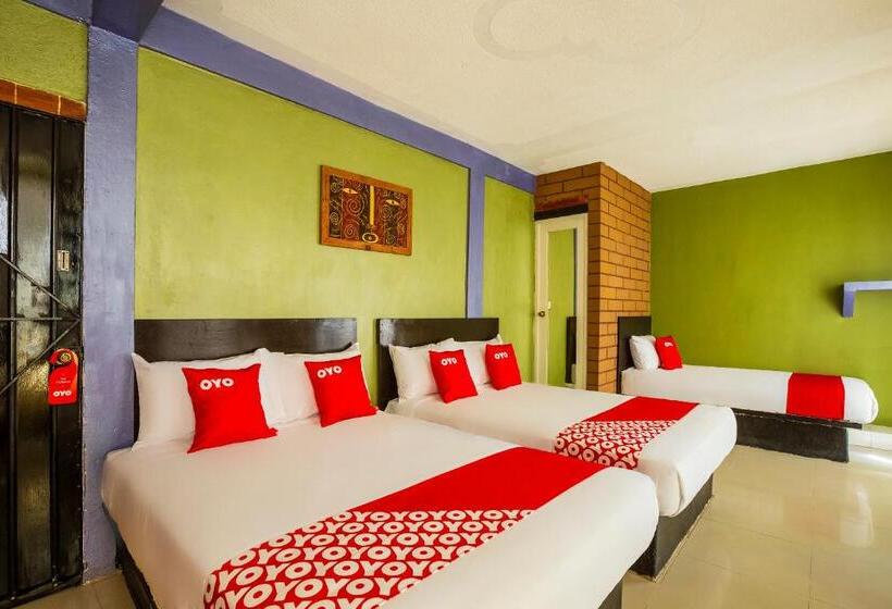 غرفة عائلية, Oyo  Rey David