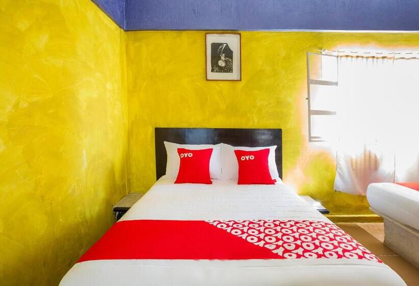 스탠다드 룸, Oyo Rey David