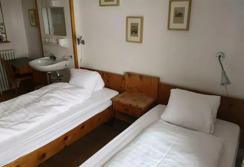 バス共有のスタンダードルーム, Historisches Hotel Piz Ela Bergün
