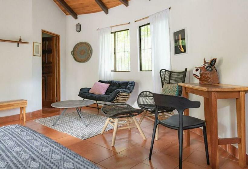 스탠다드 룸 풀장 전망, Soulshine