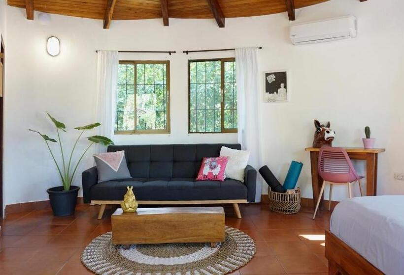 패밀리 룸 가든 전망, Soulshine