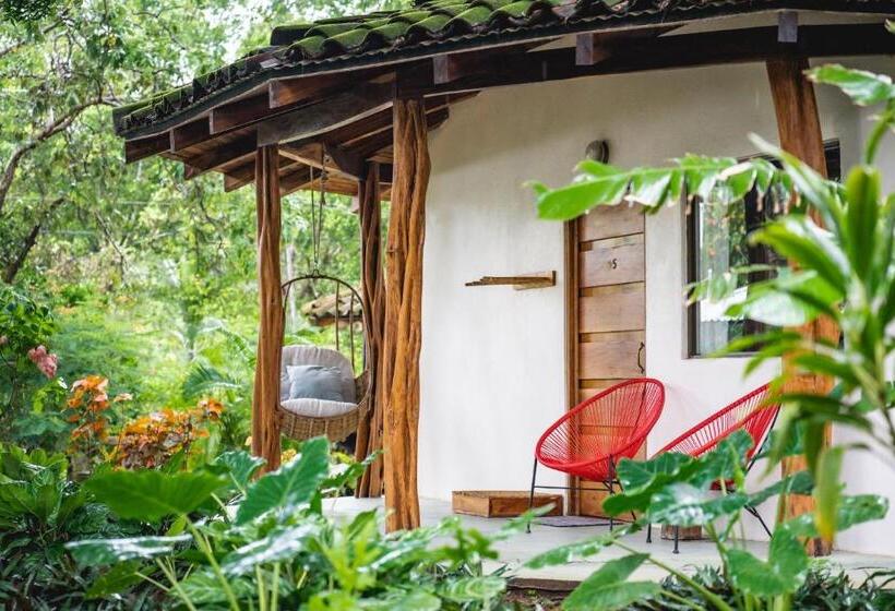 패밀리 룸 가든 전망, Soulshine