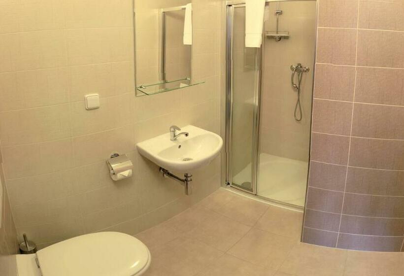 غرفة سوبيريور رباعية, štiřínská Stodola U Prahy