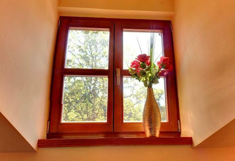 شقة ديلوكس غرفة نوم واحدة, štiřínská Stodola U Prahy