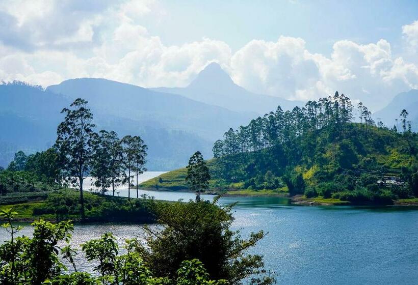 キングサイズベッドのスタンダードルーム, Pekoe Lodge